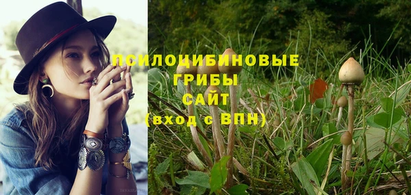 соль ск Алексин