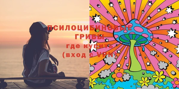 гашик Алзамай