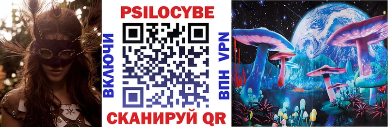 где продают наркотики  Жуковка  Псилоцибиновые грибы Psilocybe 