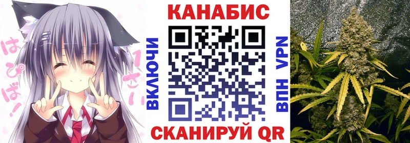 гидра tor Жуковка Конопля ГИДРОПОН продажа наркотиков